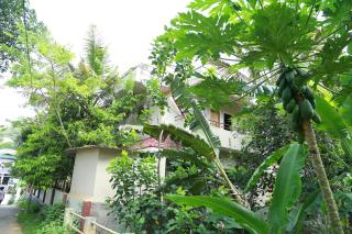 Ferndale Homestay - Thekkady - 6