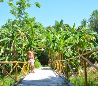 Forra Dive Resort Pattaya Beach - Ko Lipe - 5