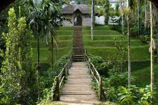 Amritara Shalimar Spice Garden Resort & Spa - Thekkady - 8
