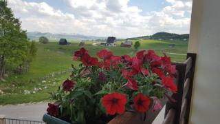 Guest House Tiha noć - Žabljak - 2