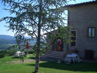 Fattoria Querceto - Tavarnelle Val di Pesa - 8