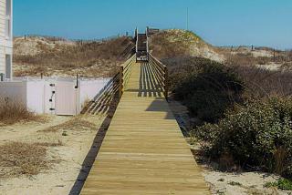 Adams View - Corolla - 9