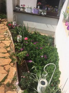 Apartments Marija - Stari Grad - 9