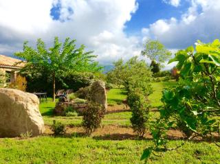 Clos Simoni - Figari - 8