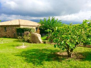 Clos Simoni - Figari - 4