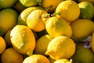 BB 12 LUBERON chambres d'hôtes contemporaines - 4