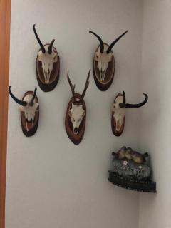 Pension Liesertalerhof - Trebesing - 6