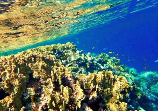 Sharm El Naga Resort and Diving Center - Hurghada - 4