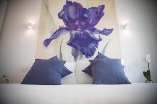 My Monopoli - Casa dei Fiori "Iris" Cala Paradiso - Monopoli - 0