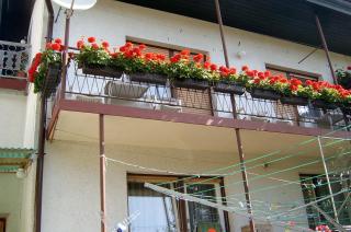 Guest House Ivanka - Bled - 8