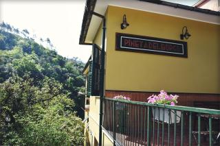 Pineta del Borgo - 9