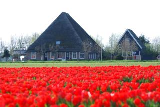 B&B Idylle aan Zee incl 2 Wellnessstudios - 9