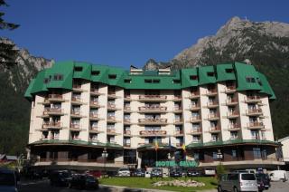 Hotel Silva Busteni - Buşteni - 9