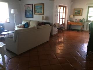 Jardí de Papallones - 4