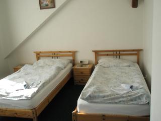 Pension Kozel - Ricany - 2