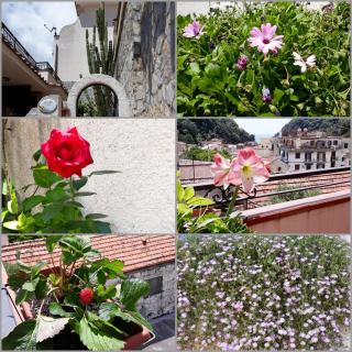 B&B Cetara Amalfi Coast - Cetara - 4