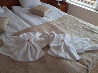 CAPUCCINO GUEST APARTMENTS - FREE PARKING and Wi-Fi - Sunny Beach - 7