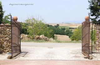 Agriturismo Signorini - Orciatico - 4
