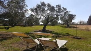 Trullo in Uliveto by RENTHOUSESALENTO - San Foca - 9