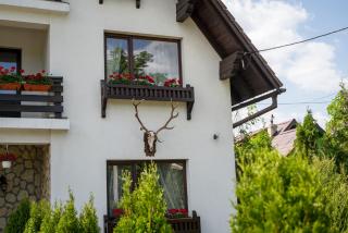 Bran Chalet - Bran - 3