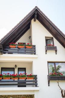 Bran Chalet - Bran - 2