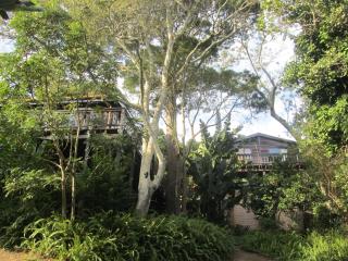 Treehouse Cottage - The Crags - 0