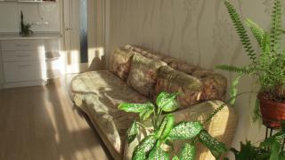 Apartment "Ostrova" - Kryzhanivka - 3