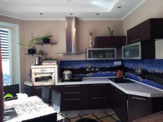 Apartment on Heroiv Stalinhradu - Kiev - 5