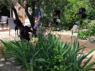 Clos des Iris - Moustiers-Sainte-Marie - 1