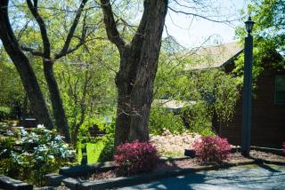 Country Hideaway at Mountain Lakes Resort - Cleveland - 5