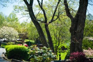 Country Hideaway at Mountain Lakes Resort - Cleveland - 6