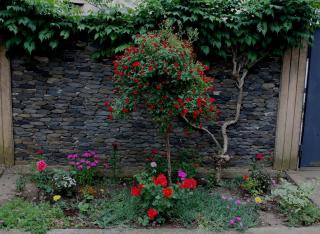 Green Guest House - Kutaisi - 8
