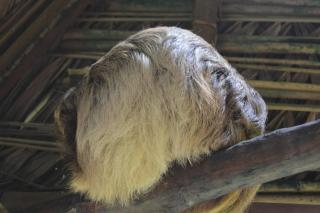 Beverly's Hill Guest House - 2