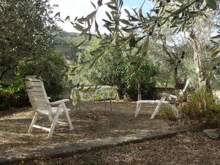 Casetta tra gli Ulivi vicina al Mare - Giustenice - 4