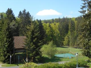 la Charbonnière - 9