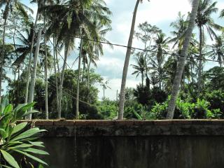 Sunrise coconut House - Ubud - 1