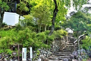 Shomarutoge Garden House - Hanno - 5