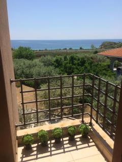 Olive Tree Cottage - 2