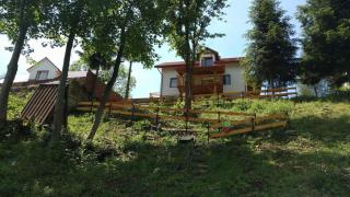 Marina u Chmiela - Wołkowyja - 5