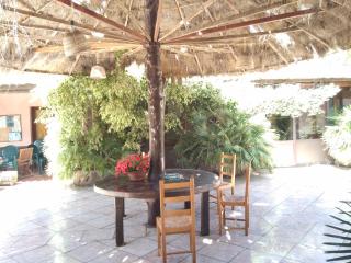 Agriturismo la Mimosa - 2