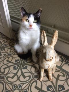 Le Clos Mademoiselle - 6