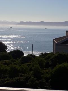 Whale of a time - Gansbaai - 0