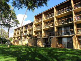 Maui-LICIOUS by the Beach - Kihei - 8