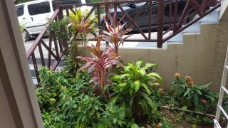 Tallyman Apt - Montego Bay - 4