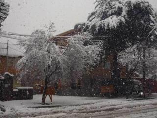 Apart Hotel Tierra Nativa - 2