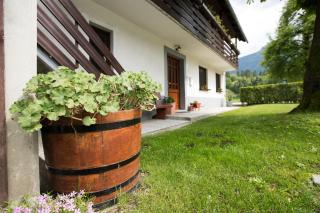Apartma Pr Gatej - Bohinj - 4