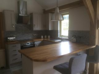 Oak Lodge - Tavistock - 4