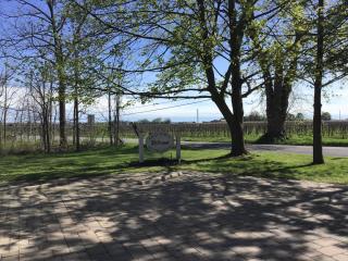 Old Town Country Landing - 1