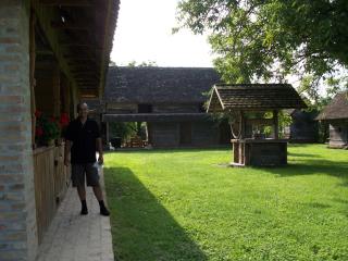 Ethno Village Stara Lonja - Lonja - 1