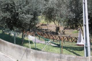 Quinta de S. Luis - Valada - Figueiró dos Vinhos - 1